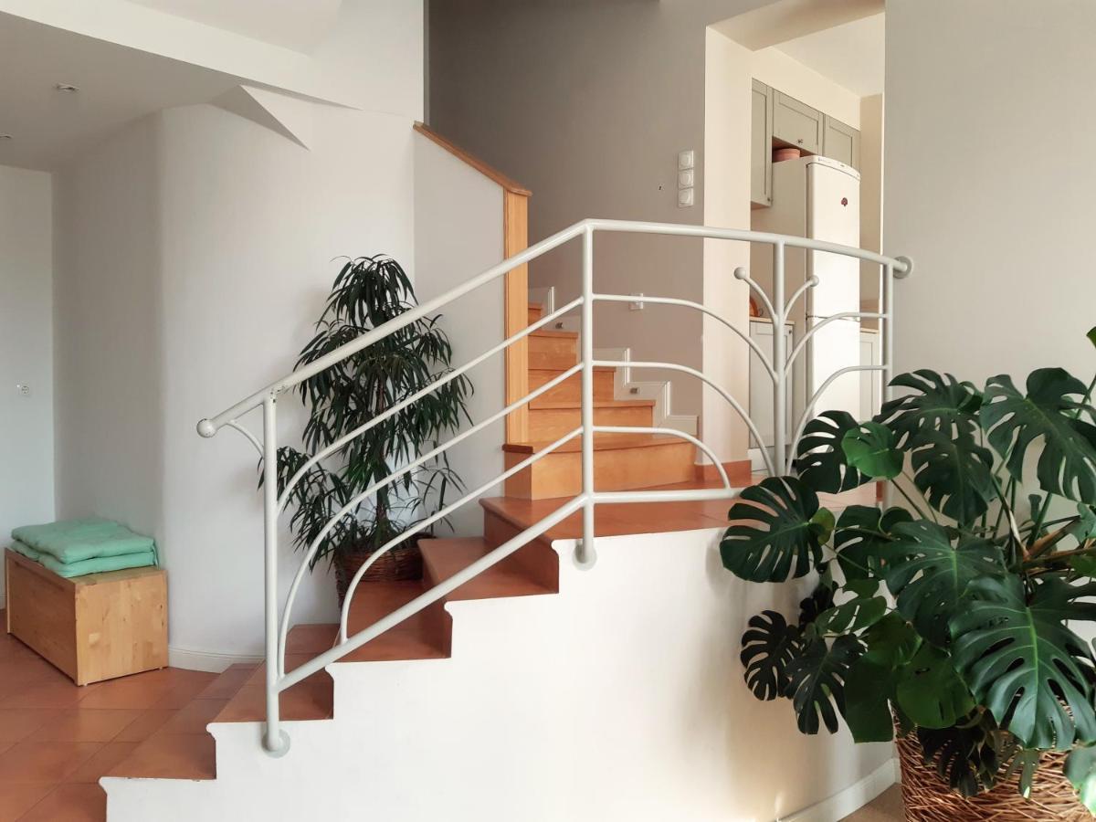 Rita Apartman شيوفوك المظهر الخارجي الصورة